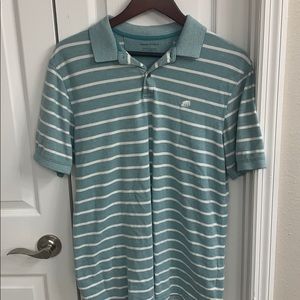 Teal striped Banana Republic polo in large
